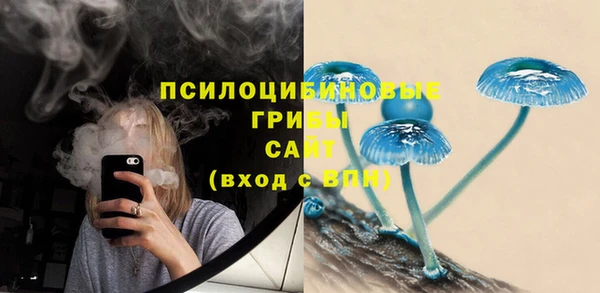 ПСИЛОЦИБИНОВЫЕ ГРИБЫ Карталы
