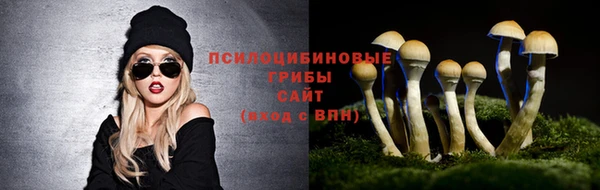 мяу мяу мука Иноземцево