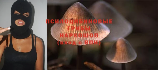 твердый Касимов