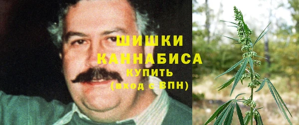 ПСИЛОЦИБИНОВЫЕ ГРИБЫ Карталы