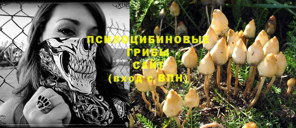 синтетический гашиш Александровское