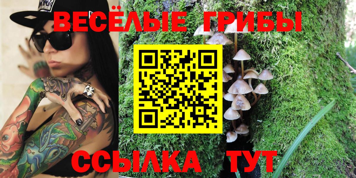 Псилоцибиновые грибы мицелий  Псилоцибиновые грибы мицелий  Абакан 