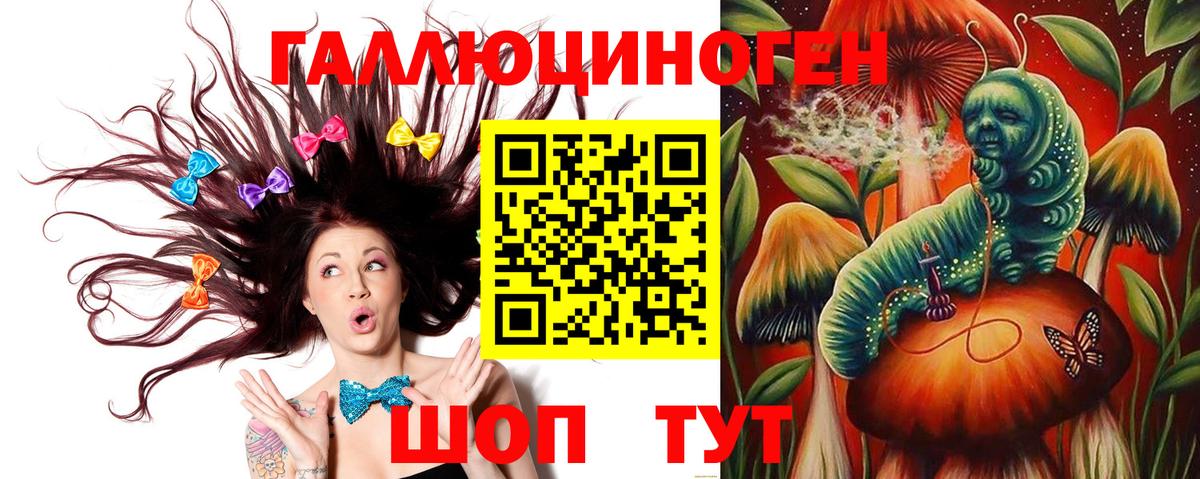 Галлюциногенные грибы Psilocybe  Псилоцибиновые грибы Magic Shrooms  Вход с VPN  Абакан 